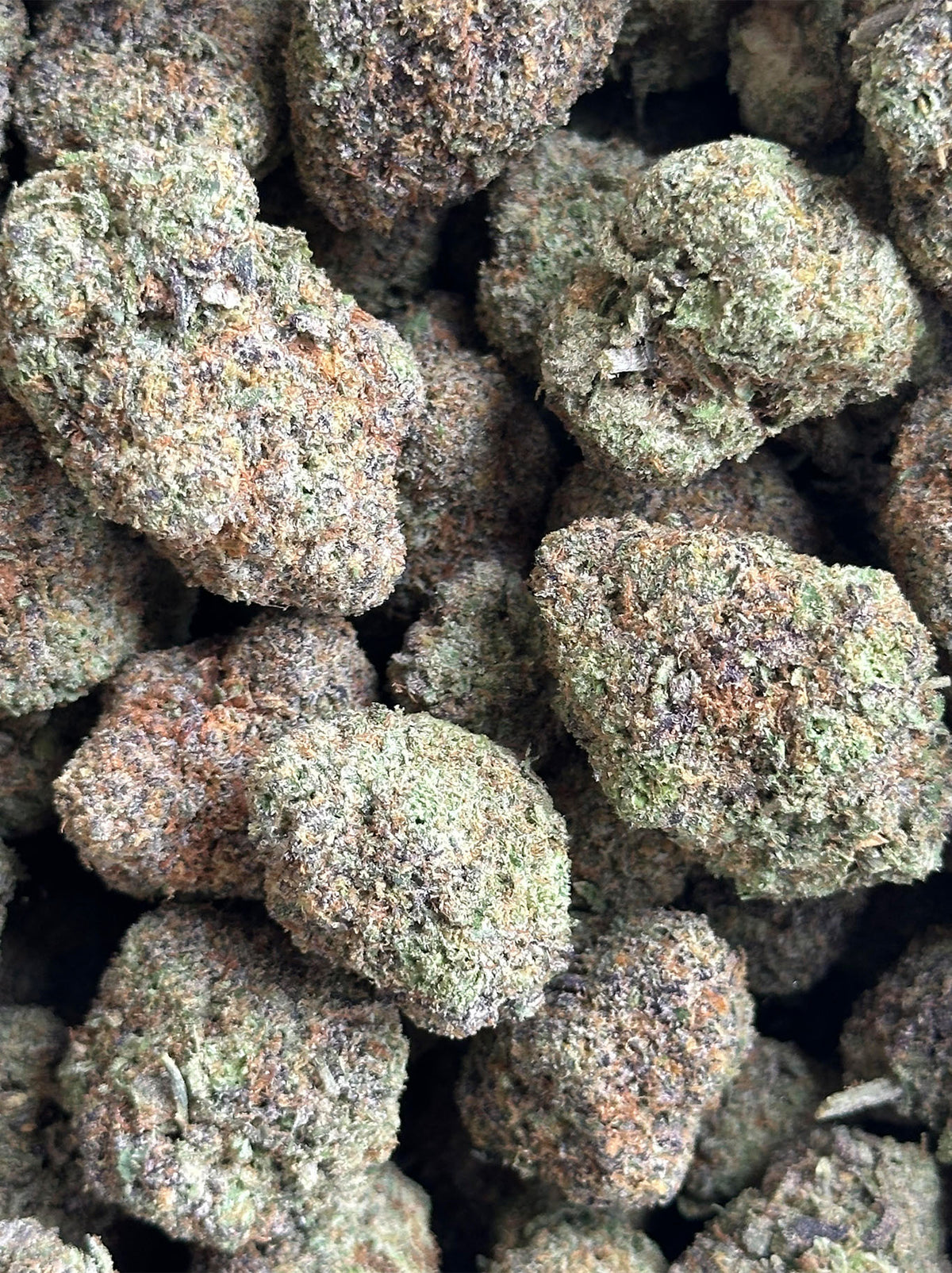 COSMIC DEBRIS SATIVA - EXOTIC