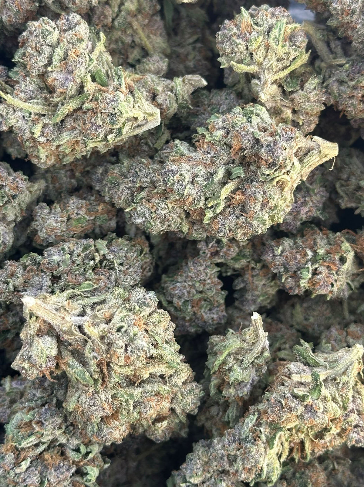 FUTURE X  INDICA - BIG BUDS