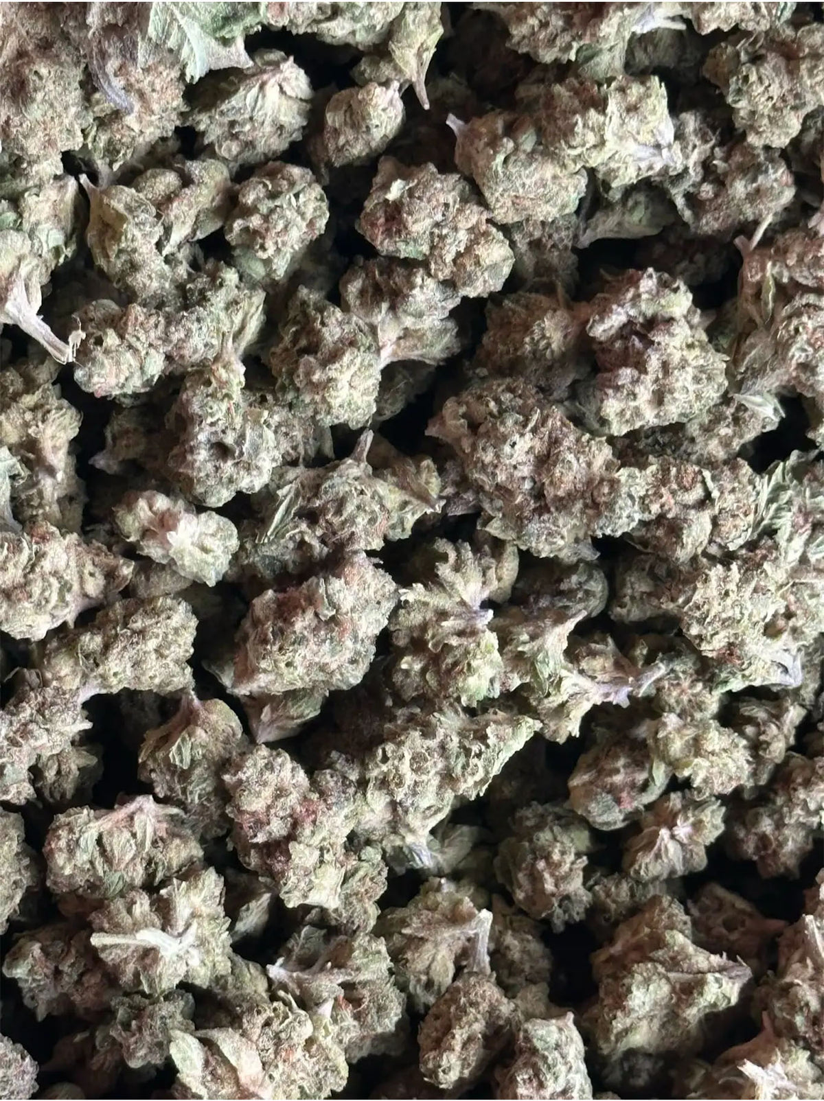 SKUNK BREATH INDICA - SMALL BUDS